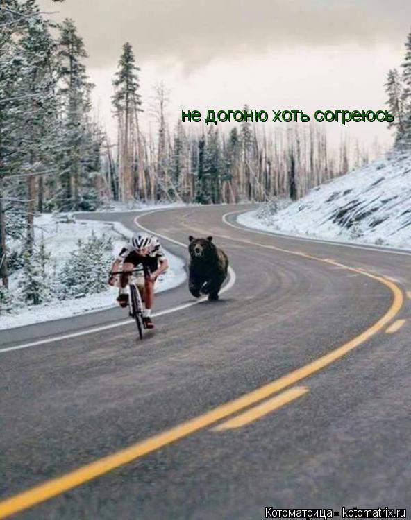 не догоню хоть согреюсь... Котоматрица: не догоню хоть согреюсь