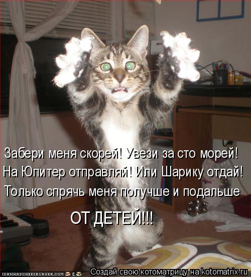 Забери меня скорей! Увези за сто морей! На Юпитер отправляй! Или Шарику отдай! Только спрячь меня пол... Котоматрица: Забери меня скорей! Увези за сто морей! На Юпитер отправляй! Или Шарику отдай! Только спрячь меня получше и подальше ОТ ДЕТЕЙ!!!