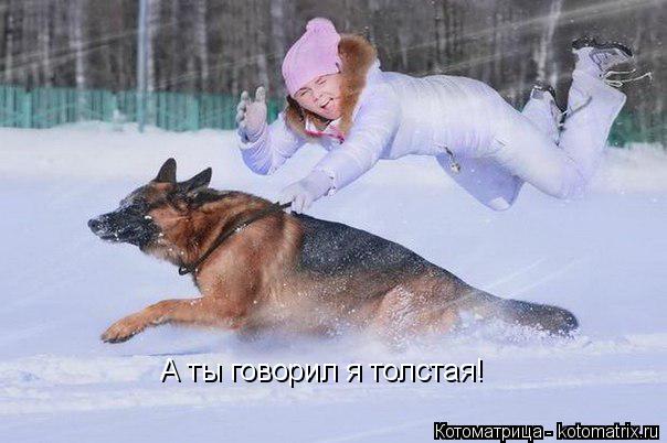 А ты говорил я толстая!... Котоматрица: А ты говорил я толстая!