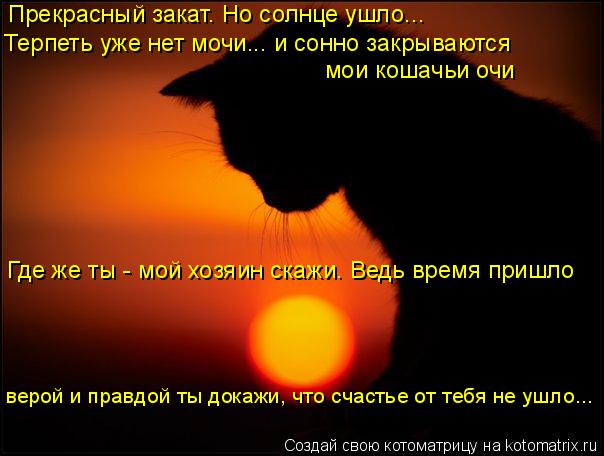 Котоматрица: Прекрасный закат. Но солнце ушло... Терпеть уже нет мочи... и сонно закрываются мои кошачьи очи Где же ты - мой хозяин скажи. Ведь время пришло 