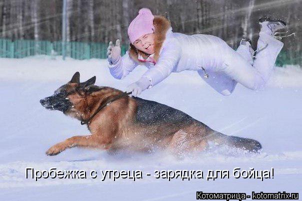 Пробежка с утреца - зарядка для бойца!... Котоматрица: Пробежка с утреца - зарядка для бойца!