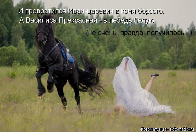 И превратился Иван-царевич в коня борзого. (не очень, правда, получилось...) А Василиса Прекрасная -... Котоматрица: И превратился Иван-царевич в коня борзого. (не очень, правда, получилось...) А Василиса Прекрасная - в лебедь белую