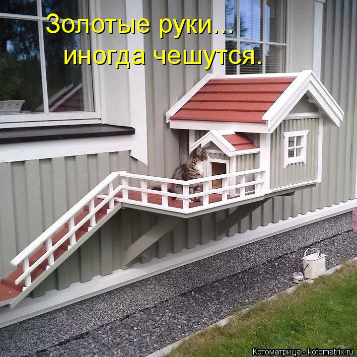 Золотые руки... иногда чешутся.... Котоматрица: Золотые руки... иногда чешутся.