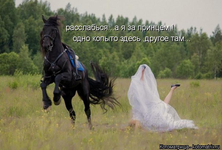 расслабься...а я за принцем ! одно копыто здесь ,другое там...... Котоматрица: расслабься...а я за принцем ! одно копыто здесь ,другое там...