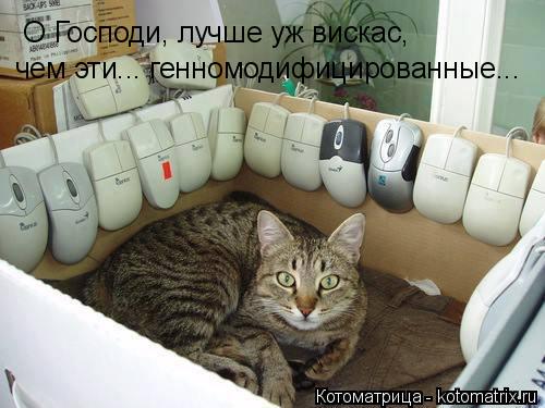 О Господи, лучше уж вискас, чем эти... генномодифицированные...... Котоматрица: О Господи, лучше уж вискас, чем эти... генномодифицированные...