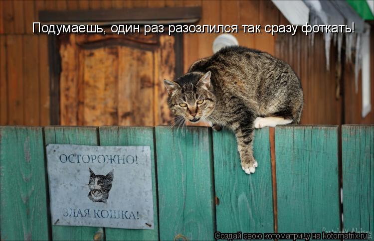 Подумаешь, один раз разозлился так сразу фоткать!... Котоматрица: Подумаешь, один раз разозлился так сразу фоткать!