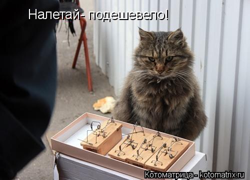 Налетай- подешевело!... Котоматрица: Налетай- подешевело!