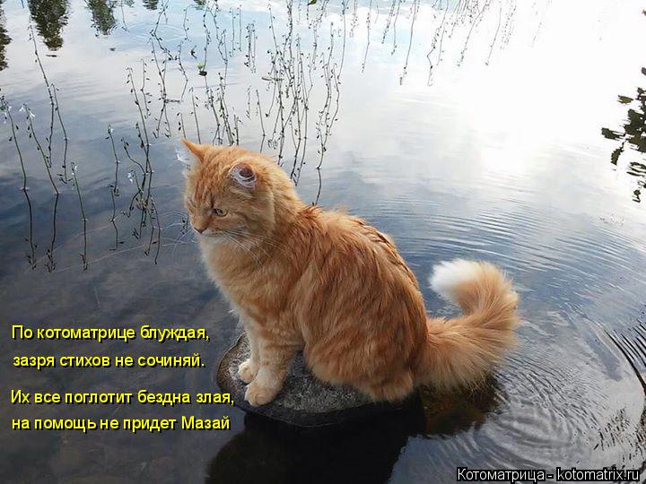 По котоматрице блуждая, зазря стихов не сочиняй. Их все поглотит бездна злая, на помощь не придет М... Котоматрица: По котоматрице блуждая, зазря стихов не сочиняй. Их все поглотит бездна злая, на помощь не придет Мазай