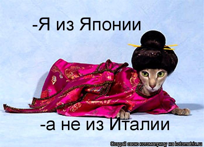 -Я из Японии -а не из Италии... Котоматрица: -Я из Японии -а не из Италии
