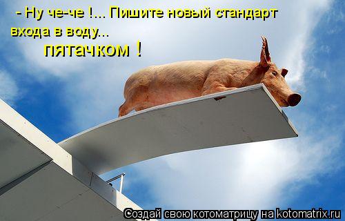 - Ну че-че !... Пишите новый стандарт входа в воду... пятачком !... Котоматрица: - Ну че-че !... Пишите новый стандарт входа в воду... пятачком !