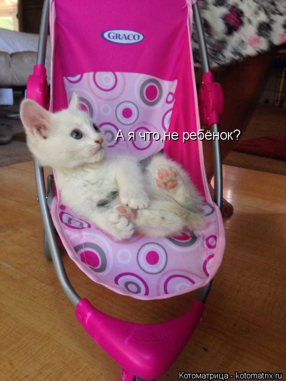 А я что,не ребёнок?... Котоматрица: А я что,не ребёнок?