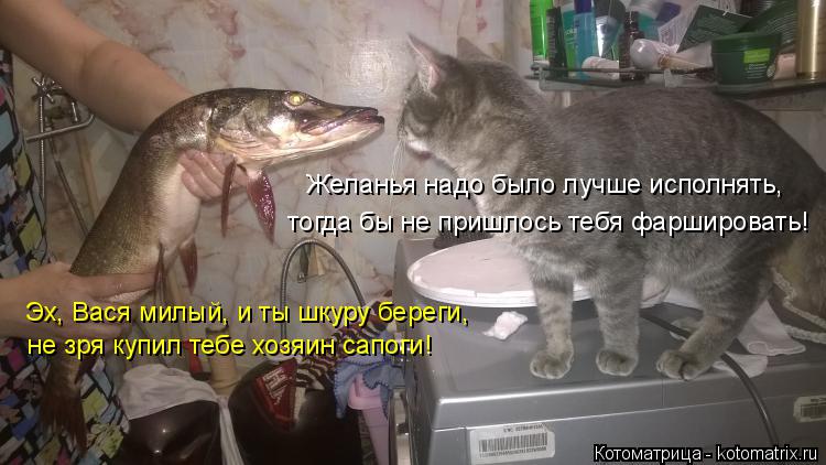 Желанья надо было лучше исполнять, тогда бы не пришлось тебя фаршировать! Эх, Вася милый, и ты шкуру ... Котоматрица: Желанья надо было лучше исполнять, тогда бы не пришлось тебя фаршировать! Эх, Вася милый, и ты шкуру береги, не зря купил тебе хозяин сапоги!