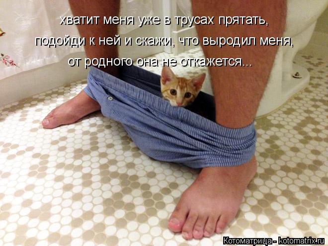 хватит меня уже в трусах прятать, подойди к ней и скажи, что выродил меня, от родного она не откажетс... Котоматрица: хватит меня уже в трусах прятать, подойди к ней и скажи, что выродил меня, от родного она не откажется...
