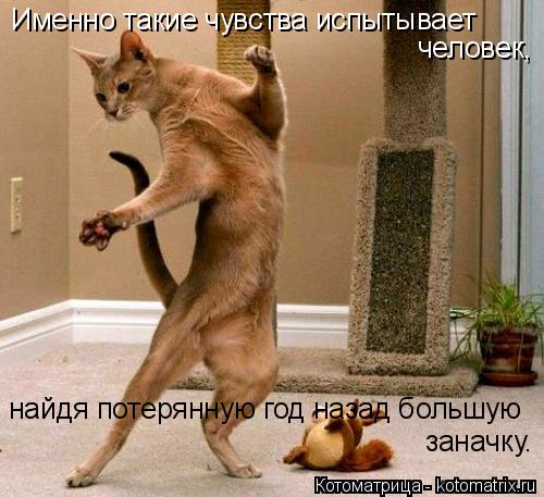Именно такие чувства испытывает человек, найдя потерянную год назад большую заначку.... Котоматрица: Именно такие чувства испытывает человек, найдя потерянную год назад большую заначку.