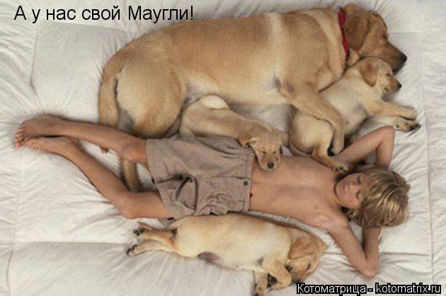 А у нас свой Маугли!... Котоматрица: А у нас свой Маугли!