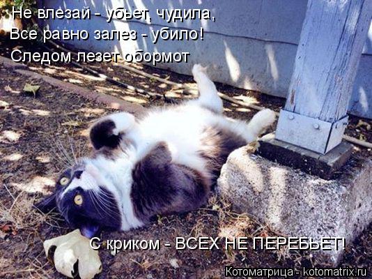 Не влезай - убьет, чудила, Все равно залез - убило! Следом лезет обормот С криком - ВСЕХ НЕ ПЕРЕБЬЕТ!... Котоматрица: Не влезай - убьет, чудила, Все равно залез - убило! Следом лезет обормот С криком - ВСЕХ НЕ ПЕРЕБЬЕТ!