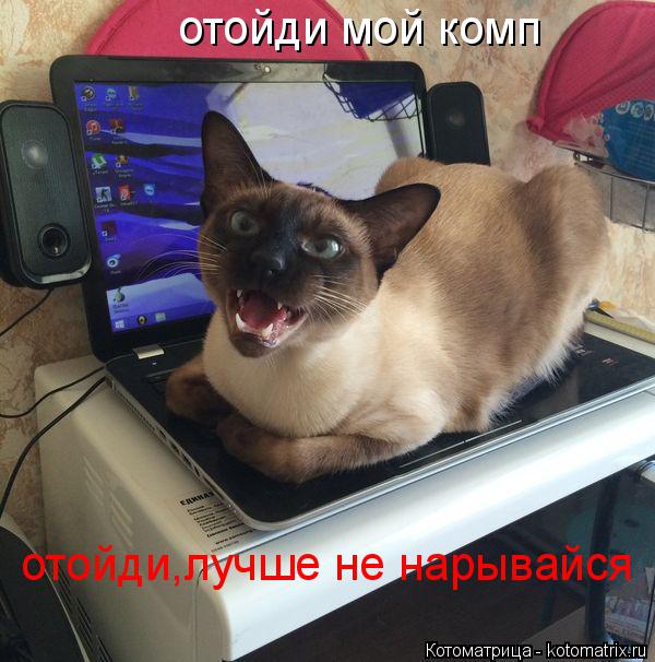 отойди мой комп отойди,лучше не нарывайся... Котоматрица: отойди мой комп отойди,лучше не нарывайся