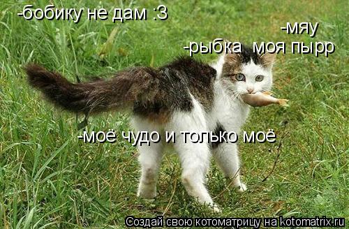 -мяу -рыбка моя пырр -бобику не дам :З -моё чудо и только моё... Котоматрица: -мяу -рыбка моя пырр -бобику не дам :З -моё чудо и только моё