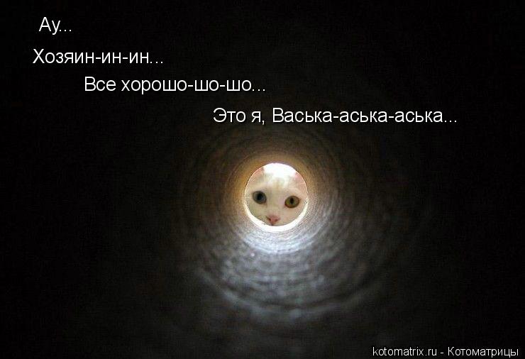 Ау... Хозяин-ин-ин... Все хорошо-шо-шо... Это я, Васька-аська-аська...... Котоматрица: Ау... Хозяин-ин-ин... Все хорошо-шо-шо... Это я, Васька-аська-аська...