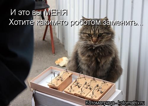 И это вы МЕНЯ Хотите каким-то роботом заменить...... Котоматрица: И это вы МЕНЯ Хотите каким-то роботом заменить...