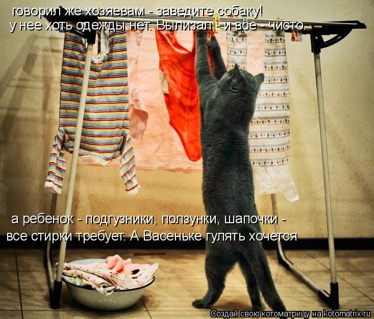 говорил же хозяевам - заведите собаку! у нее хоть одежды нет. Вылизал - и все - чисто. а ребенок - п... Котоматрица: говорил же хозяевам - заведите собаку! у нее хоть одежды нет. Вылизал - и все - чисто. а ребенок - подгузники, ползунки, шапочки - все стирки тре