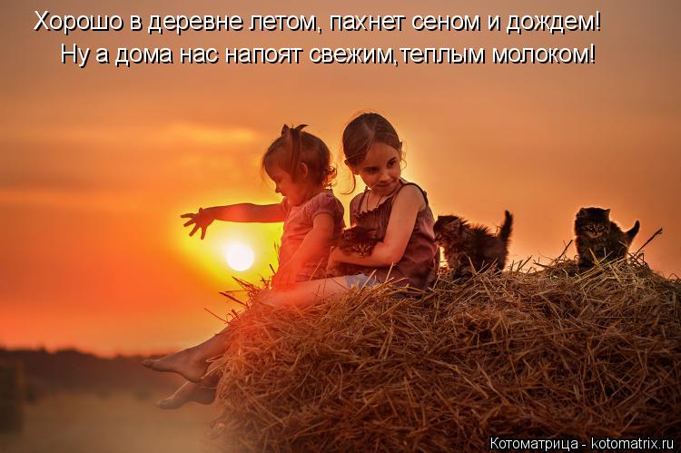 Ну а дома нас напоят свежим,теплым молоком! Хорошо в деревне летом, пахнет сеном и дождем!... Котоматрица: Ну а дома нас напоят свежим,теплым молоком! Хорошо в деревне летом, пахнет сеном и дождем!