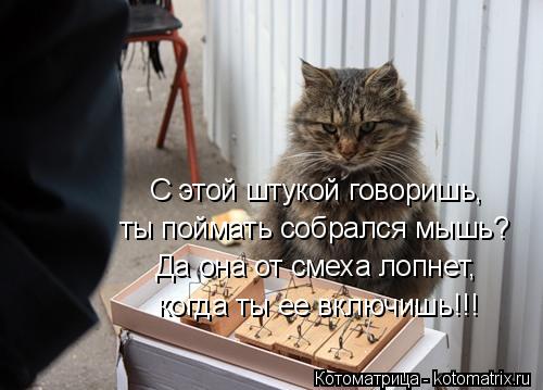 С этой штукой говоришь, ты поймать собрался мышь? Да она от смеха лопнет, когда ты ее включишь!!!... Котоматрица: С этой штукой говоришь, ты поймать собрался мышь? Да она от смеха лопнет, когда ты ее включишь!!!