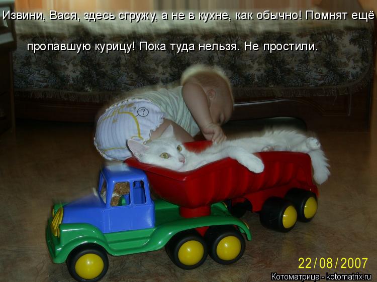 Извини, Вася, здесь сгружу, а не в кухне, как обычно! Помнят ещё пропавшую курицу! Пока туда нельзя. ... Котоматрица: Извини, Вася, здесь сгружу, а не в кухне, как обычно! Помнят ещё пропавшую курицу! Пока туда нельзя. Не простили.