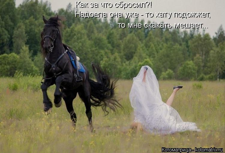 Как за что сбросил?! Надоела она уже - то хату подожжет, то мне скакать мешает...... Котоматрица: Как за что сбросил?! Надоела она уже - то хату подожжет, то мне скакать мешает...