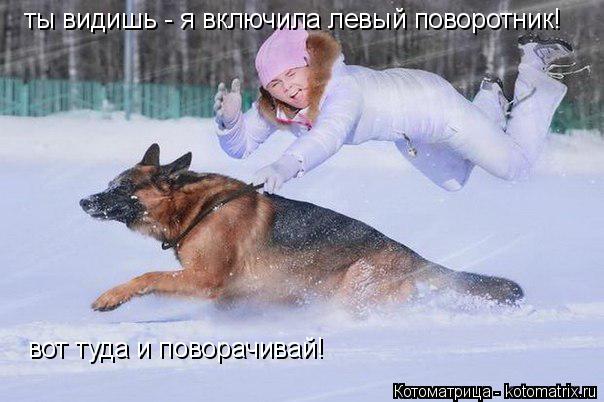 ты видишь - я включила левый поворотник! вот туда и поворачивай!... Котоматрица: ты видишь - я включила левый поворотник! вот туда и поворачивай!