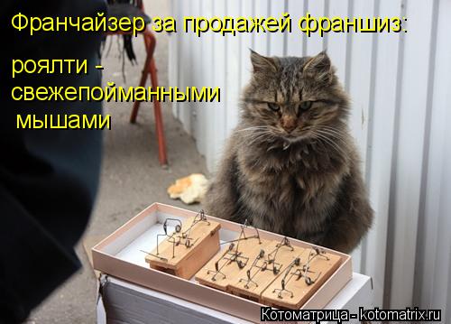 Франчайзер за продажей франшиз: роялти - свежепойманными мышами... Котоматрица: Франчайзер за продажей франшиз: роялти - свежепойманными мышами