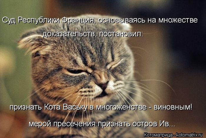 Суд Республики Франция, основываясь на множестве доказательств, постановил: признать Кота Ваську в мн... Котоматрица: Суд Республики Франция, основываясь на множестве доказательств, постановил: признать Кота Ваську в многоженстве - виновным! мерой пресечен