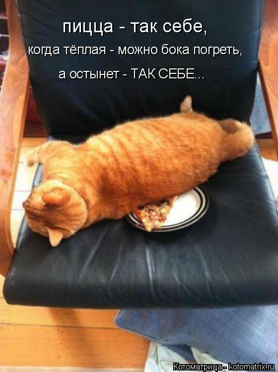 пицца - так себе, когда тёплая - можно бока погреть, а остынет - ТАК СЕБЕ...... Котоматрица: пицца - так себе, когда тёплая - можно бока погреть, а остынет - ТАК СЕБЕ...