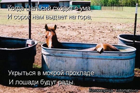 Когда Цельсий сходит с ума, И сорок нам выдает на гора, Укрыться в мокрой прохладе И лошади будут рад... Котоматрица: Когда Цельсий сходит с ума, И сорок нам выдает на гора, Укрыться в мокрой прохладе И лошади будут рады.
