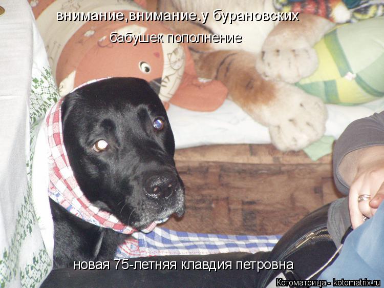 внимание,внимание.у бурановских бабушек пополнение новая 75-летняя клавдия петровна... Котоматрица: внимание,внимание.у бурановских бабушек пополнение новая 75-летняя клавдия петровна