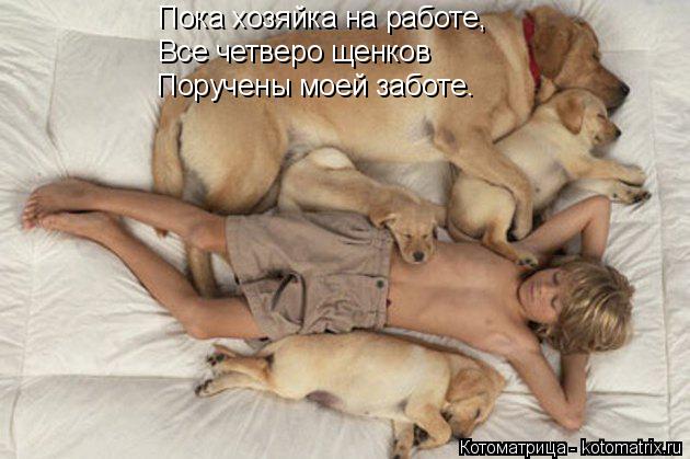 Пока хозяйка на работе, Все четверо щенков Поручены моей заботе.... Котоматрица: Пока хозяйка на работе, Все четверо щенков Поручены моей заботе.