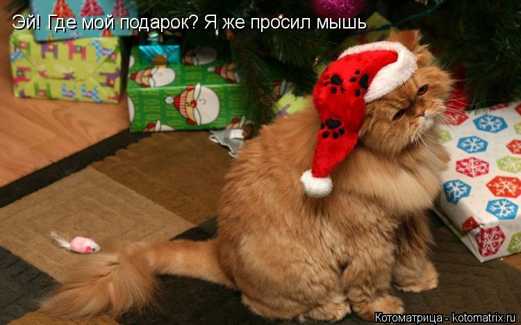 Котоматрица: Эй! Где мой подарок? Я же просил мышь Эй! Где мой подарок? Я же просил мышь