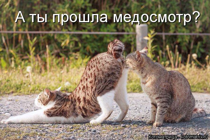 Котоматрица: А ты прошла медосмотр?