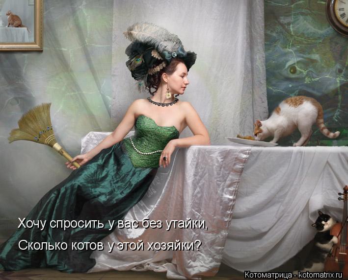 Котоматрица: Хочу спросить у вас без утайки, Сколько котов у этой хозяйки?