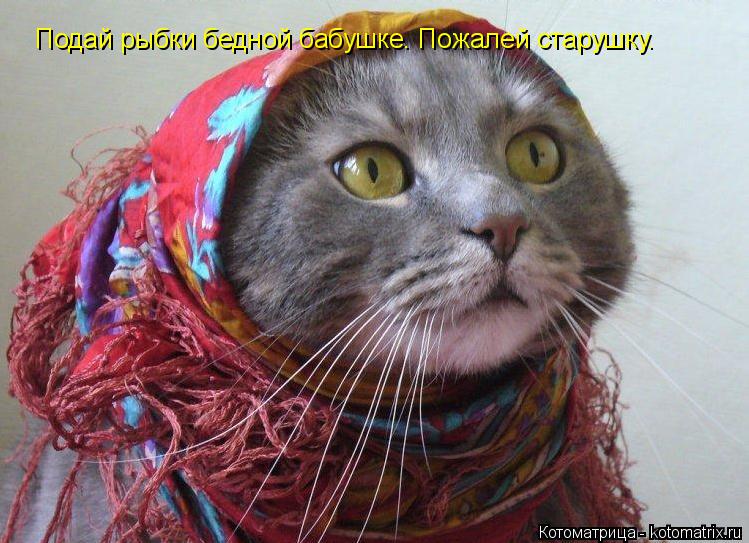 Котоматрица: Подай рыбки бедной бабушке. Пожалей старушку.
