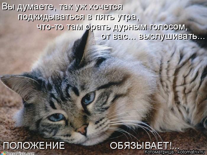 Котоматрица: Вы думаете, так уж хочется подкидываться в пять утра,  что-то там орать дурным голосом, от вас... выслушивать... ПОЛОЖЕНИЕ                 ОБЯЗЫВАЕТ!...
