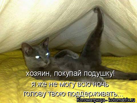 Котоматрица: хозяин, покупай подушку! я же не могу всю ночь  голову твою поддерживать...