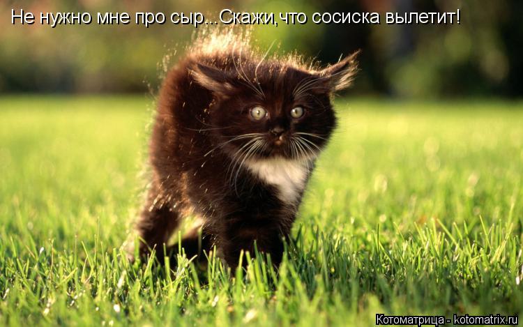 Котоматрица: Не нужно мне про сыр...Скажи,что сосиска вылетит!