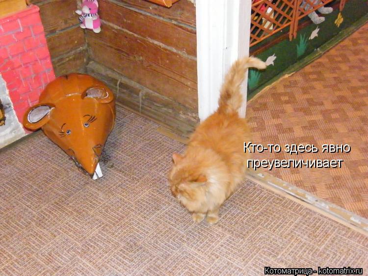 Котоматрица: Кто-то здесь явно преувеличивает