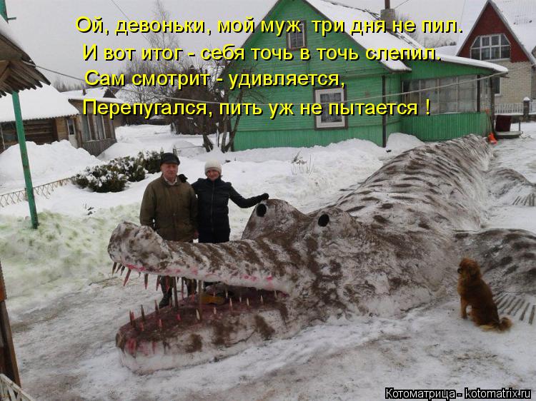 Котоматрица: Ой, девоньки, мой муж  три дня не пил. И вот итог - себя точь в точь слепил. Сам смотрит - удивляется, Перепугался, пить уж не пытается !