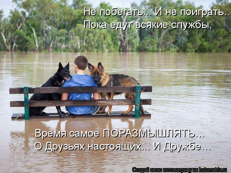 Котоматрица: Не побегать... И не поиграть… Пока едут всякие службы, Время самое ПОРАЗМЫШЛЯТЬ… О Друзьях настоящих... И Дружбе…