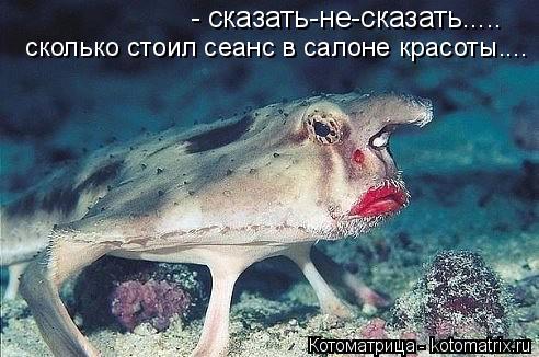 Котоматрица: - сказать-не-сказать..... сколько стоил сеанс в салоне красоты....