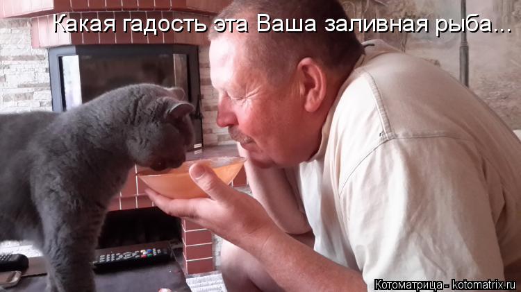 Котоматрица: Какая гадость эта Ваша заливная рыба...