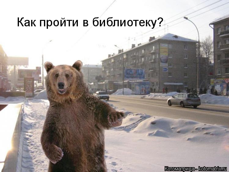 Котоматрица: Как пройти в библиотеку?