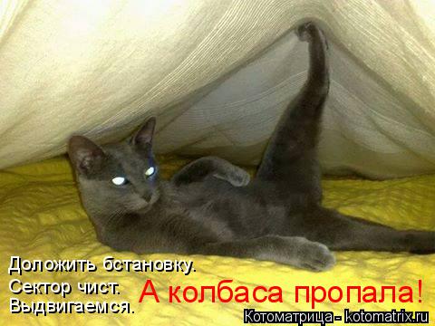 Котоматрица: Доложить бстановку. Сектор чист. Выдвигаемся. А колбаса пропала!